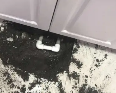 仓山查漏水哪家好